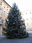 Natale a Palazzo Salimbeni