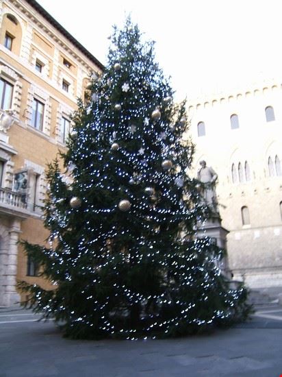  Siena  
