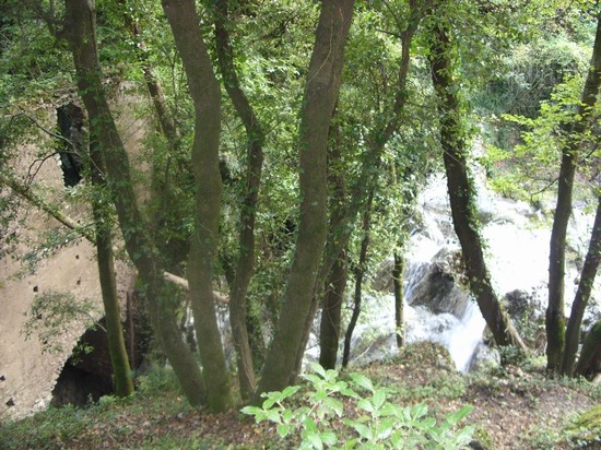 Vallone delle Ferriere: ruscelli