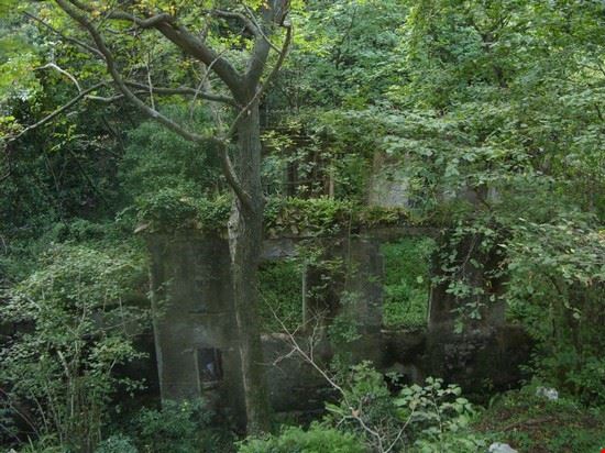 Vallone delle Ferriere Amalfi  