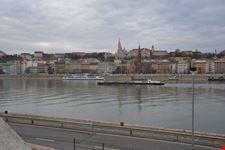 danubio