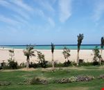 la spiaggia marsa alam la spiaggia marsa alam