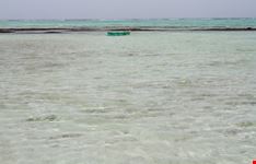 la barriera corallina marsa alam