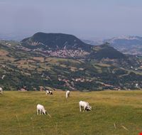 Panorama Montecopiolo (Vista sul capoluogo Villagrande) Panorama Montecopiolo (Vista sul capoluogo Villagrande)