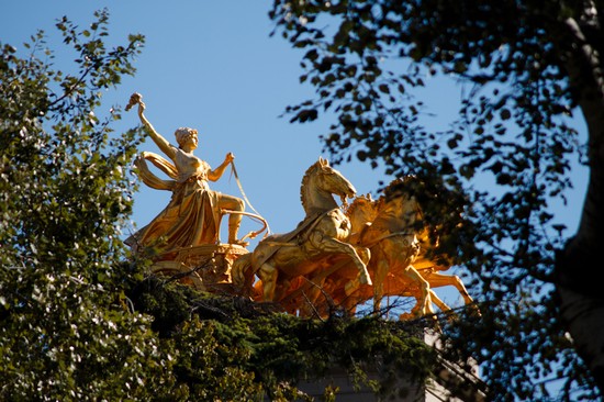 Cavalli d'oro