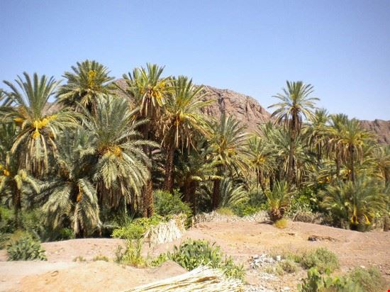 da Marrakech all'Oasi di Fint L'Oasi di Fint  