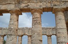colonne tempio greco segesta
