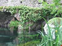 Ninfa: Ponticello