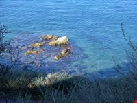 S.Tropez