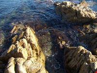 S.Tropez