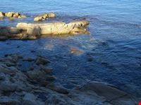 S.Tropez
