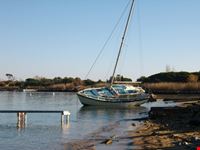 S.Tropez