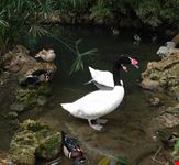 parco orleans