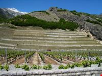 Sion