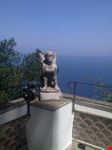 Veduta da villa di Alex Munthe
