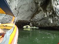 mangroven phuket