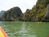 mangroven phuket