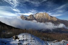 Alpi di Succiso