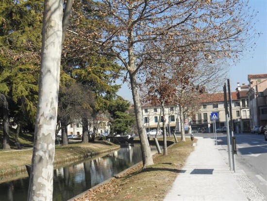 città