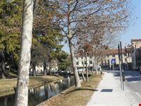 città