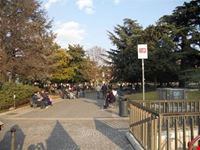 Piazza Bra'