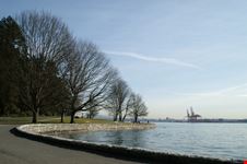 vancouver uno scorcio di stanley park