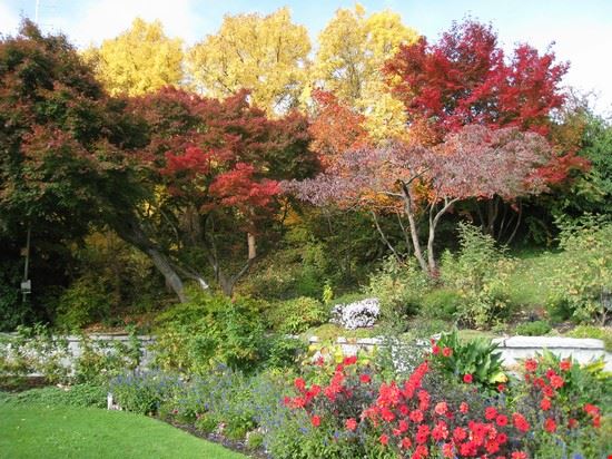 Queen Elizabeth Park Vancouver wlcutler - Creative Commons wlcutler