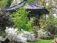vancouver vandusen botanical garden