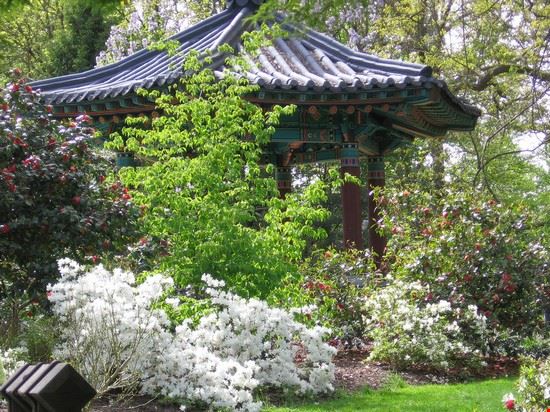 VanDusen Botanical Garden - Marcin Chady - Marcin Chady - Creative Commons