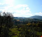 Paesaggio Paesaggio