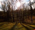 sole reggello sole reggello