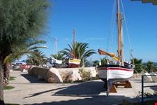 mare