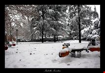 white silence