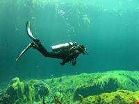 Discover Scuba Diving in Casa Cenote