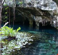 Cenote snorkeling Cenote snorkeling