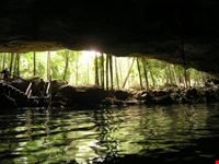 Snorkeling in Cenote Dos Ojos