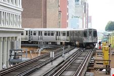 The L