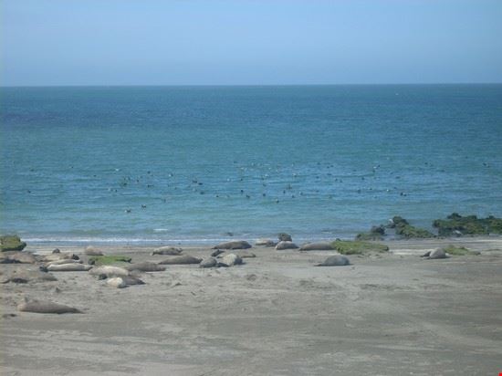  Puerto Madryn  