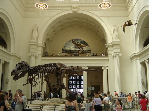 Field Museum of Natural History - wscottheath - wscottheath - Creative Commons