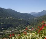 La natura di Crandola La natura di Crandola