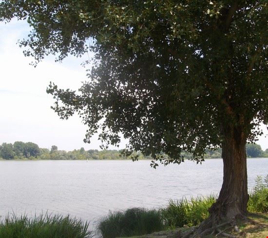 Mantova  