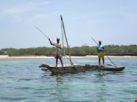 locals all'isola di Qwale
