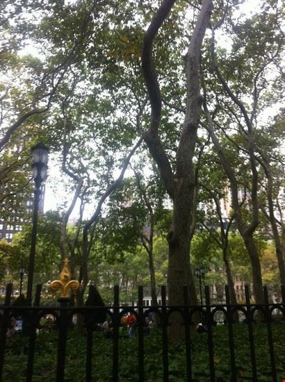 Central Park New York  