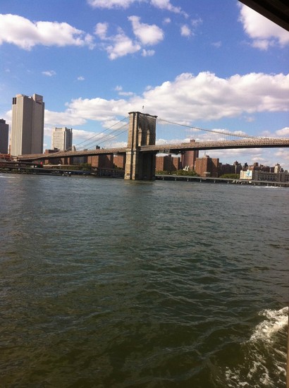 ponte brooklyn