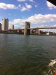 ponte brooklyn