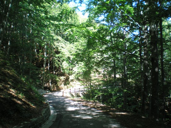 Pian degli Ontani