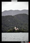Isola di Bled