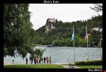 Lago di Bled