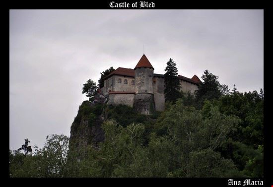  Bled  