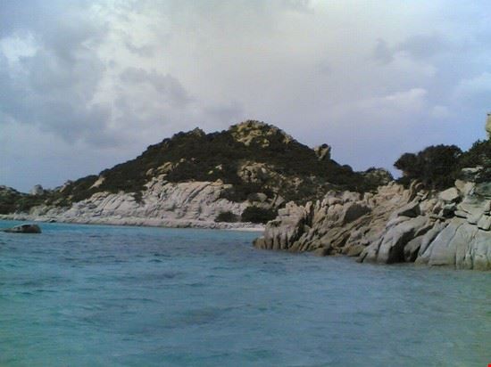 Romana